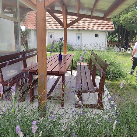 Mirella Rooms Palic Bagian luar foto